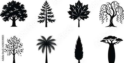 Tree Silhouette Collection with Oak Palm Maple Cypress Willow and Bonsai Icons Isolated on Gray