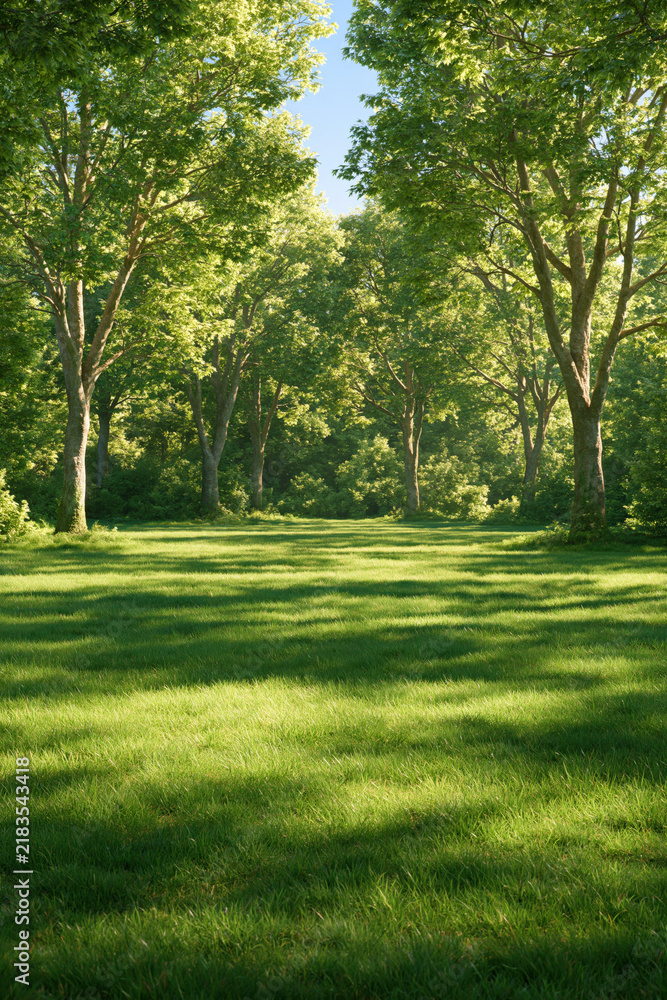 Fototapeta premium landscape with broad sunny woodland meadow framed by mature deciduous trees, portrait format, photorealistic