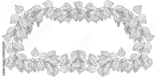 Hand drawn rectangular birch branches with leaves and catkins frame in pencil sketch style with copy space. Ideal for wilderkind decor, cards, wedding invites, organic packaging, farmhouse art.