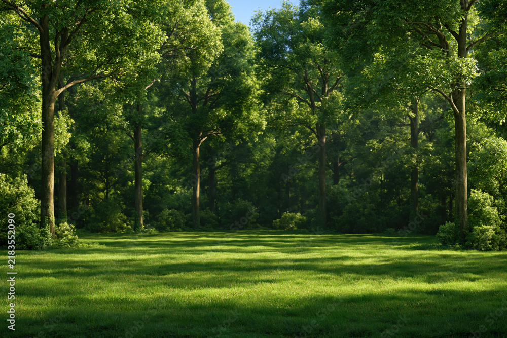 Fototapeta premium landscape with wide emerald meadow at the edge of a dense deciduous forest, photorealistic