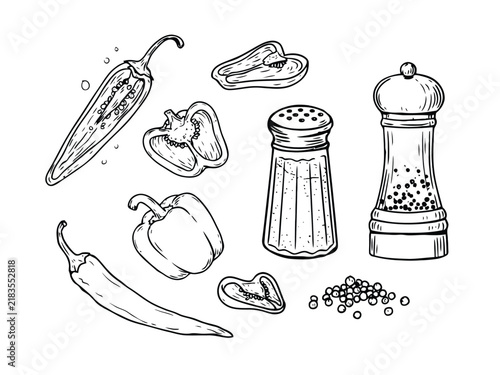 Hand drawn of chili peppers, bell peppers, salt and pepper shakers