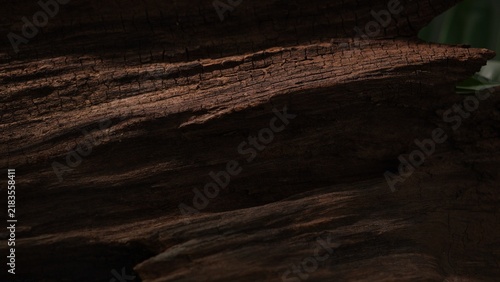 Dark driftwood edge with cinematic organic texture