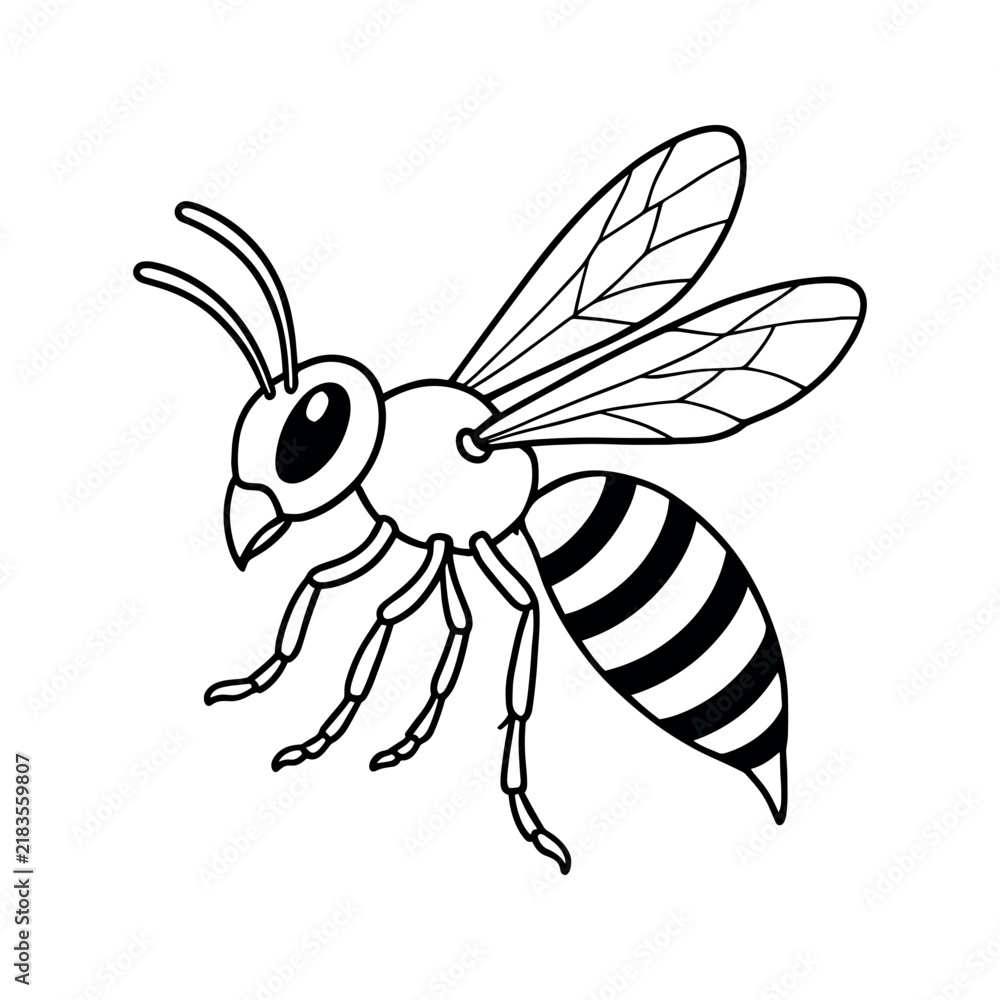 Fototapeta premium Striped Wasp Illustration