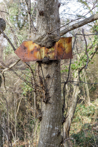 Foto Rusty Metal Arrow Sign Swallowed by a Tree Trunk in the Forest, Concept of Natur