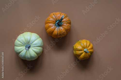 Decorative pumpkins  on orange (terracotta) background. Elements of festive decor in the house. Autumn mood in anticipation of the holiday. Top view.