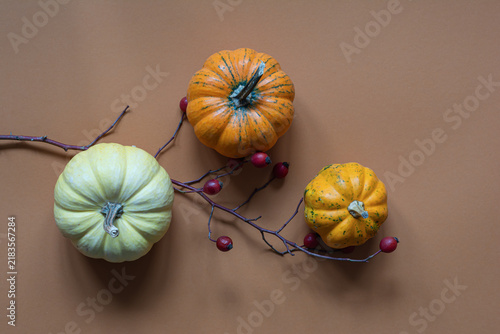 Decorative pumpkins  on orange (terracotta) background. Elements of festive decor in the house. Autumn mood in anticipation of the holiday. Top view.