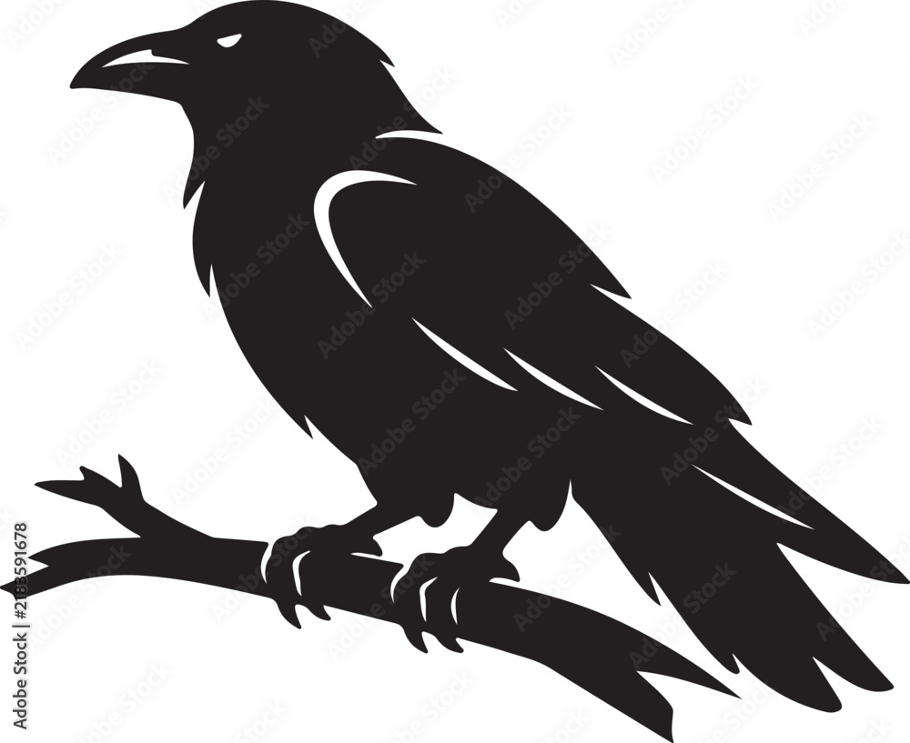 Fototapeta premium Black Crow Silhouette Perched on Tree Branch Bird Illustration