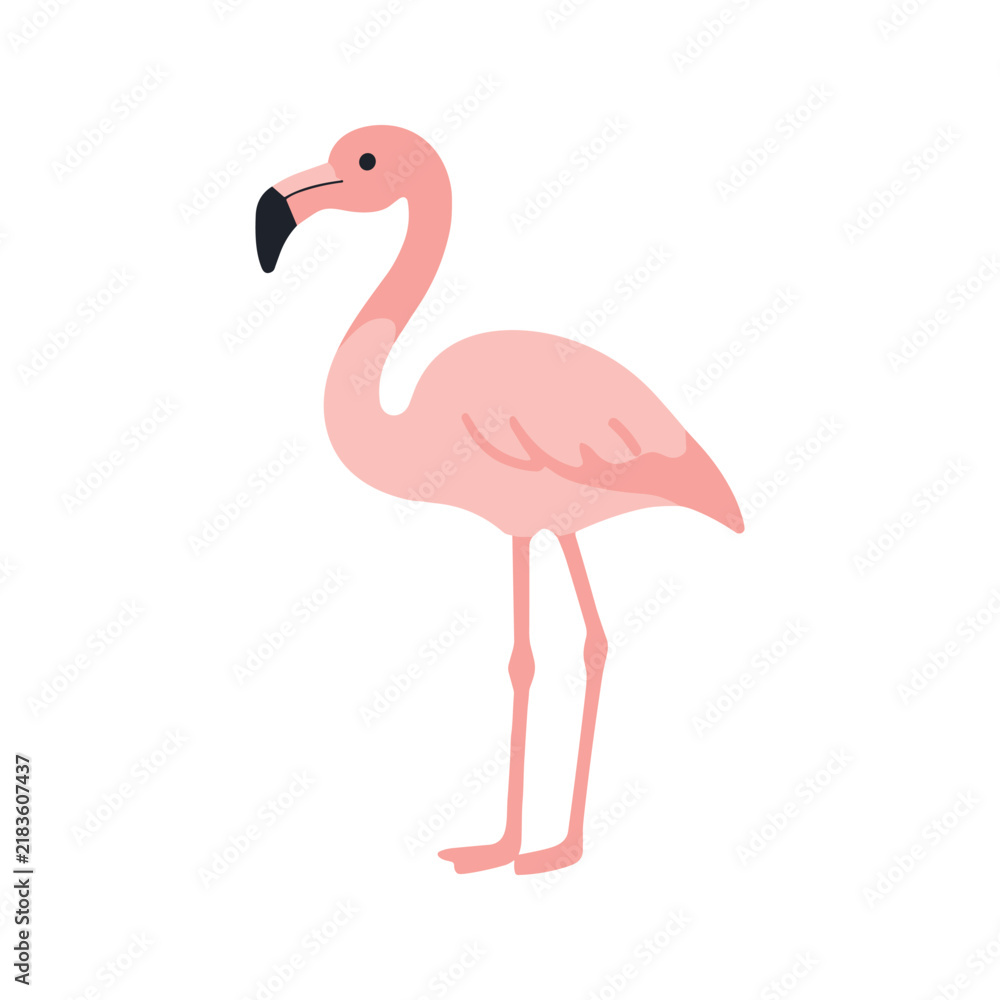 Fototapeta premium Pink Flamingo Illustration