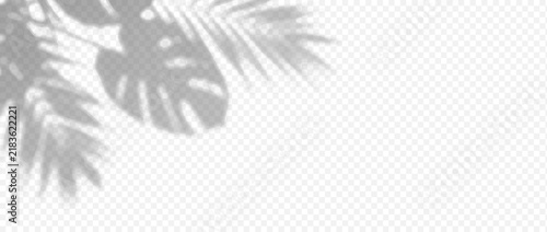 Easy to edit layered vector shadow. Split tropical leaves and narrow fronds frame the upper left on checkerboard. Adjust tonal layer opacity to control intensity and perceived softness.
