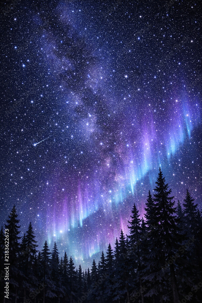 Naklejka premium The northern lights illuminate the sky over a forest, creating a magical atmosphere.
