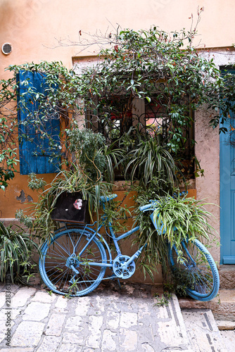 Obraz na plátne vintage blue bike entwined with green plants against rustic wall in charming all