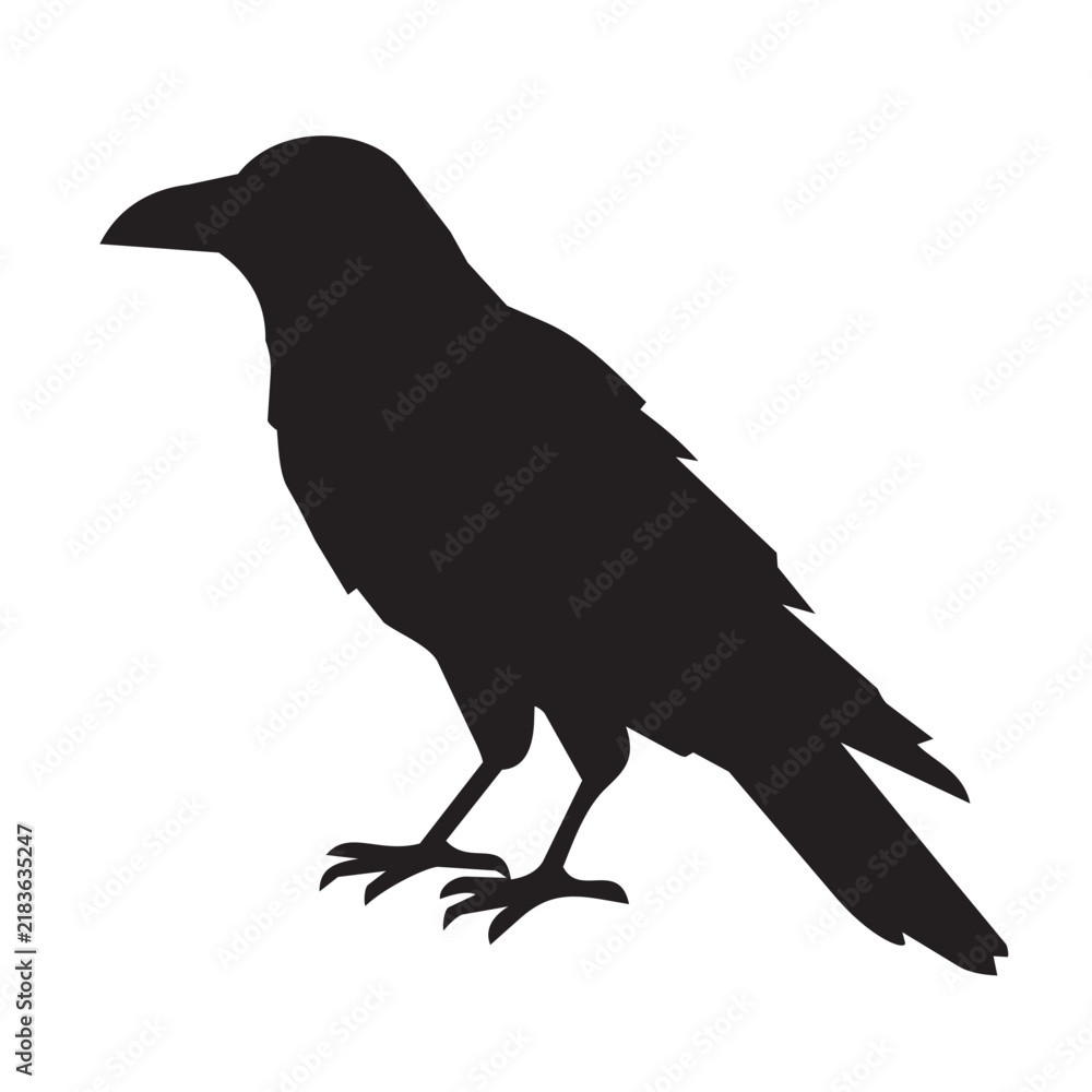 Obraz premium Black raven silhouette with detailed feathers and bird profile isolated on a clean white background