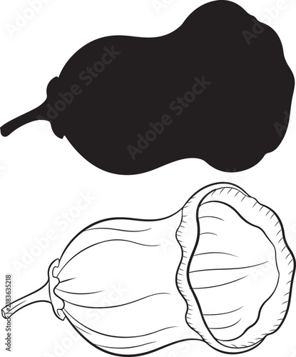 Silhouette and Line Art Illustration of a Decorative Gourd Vegetable for Autumn Harvest Design