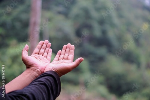 Принти на полотні Two open palms raised upward in a posture of prayer in a green outdoor setting