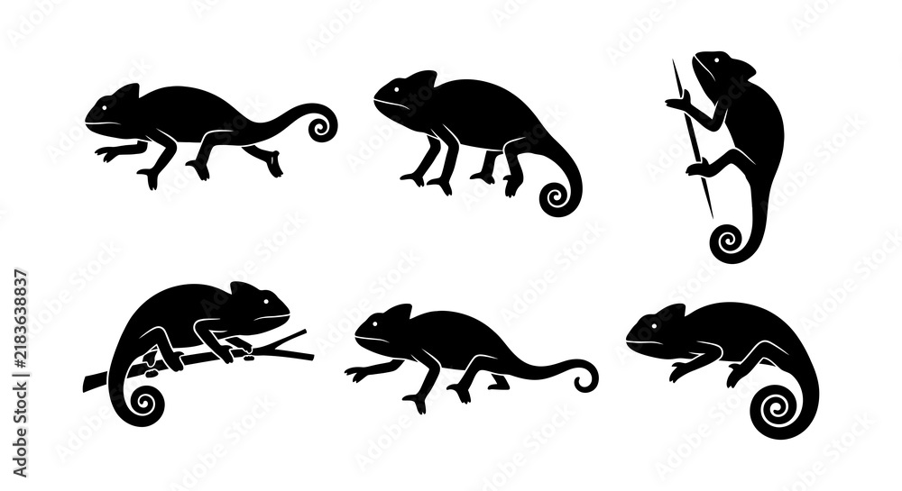 Fototapeta premium Collection of Chameleon Silhouettes Showcasing Various Reptile Poses, Vector Illustration