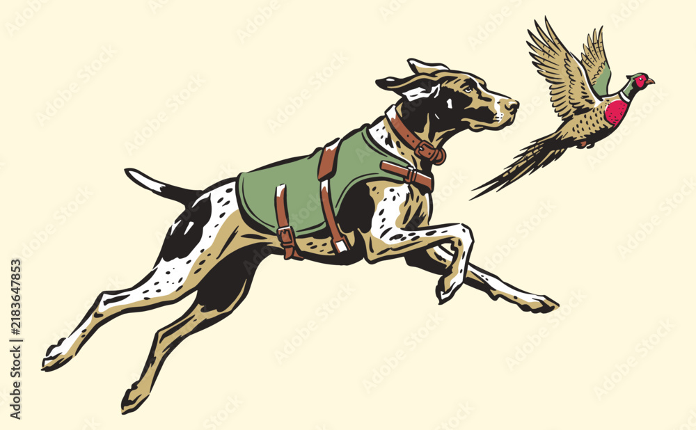 Obraz premium Hunting dog chasing pheasant bird vintage vector illustration. Pointer dog hunting scene for t-shirt print, poster, and outdoor club apparel.