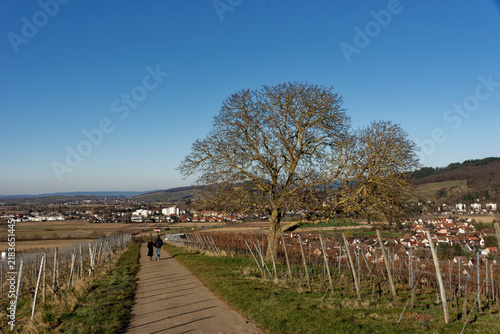 Baden-Württemberg - Staufen im Breisgau - Wanderweg zum Castellberg