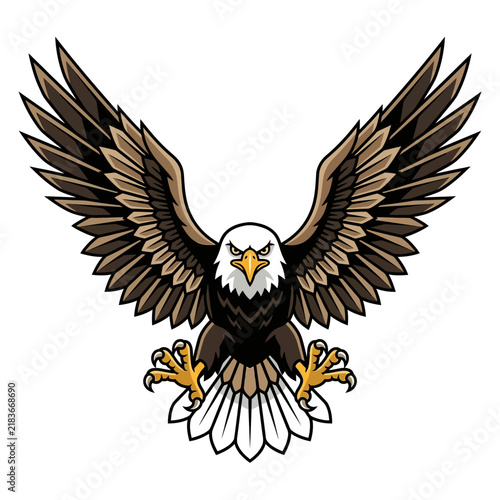 Majestic adult bald eagle with outstretched wings, front view, white background