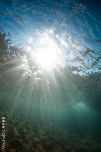 Canvas Print Beautiful view of beneath the ocean surface with sunlight rays.