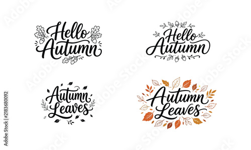 A collection of artistic autumn themed hand drawn lettering designs featuring creative ypography and seasonal fall leaf illustrations