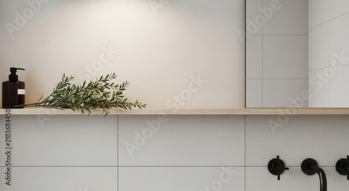 Minimalist Bathroom Shelf With Soap Dispenser And Greenery
