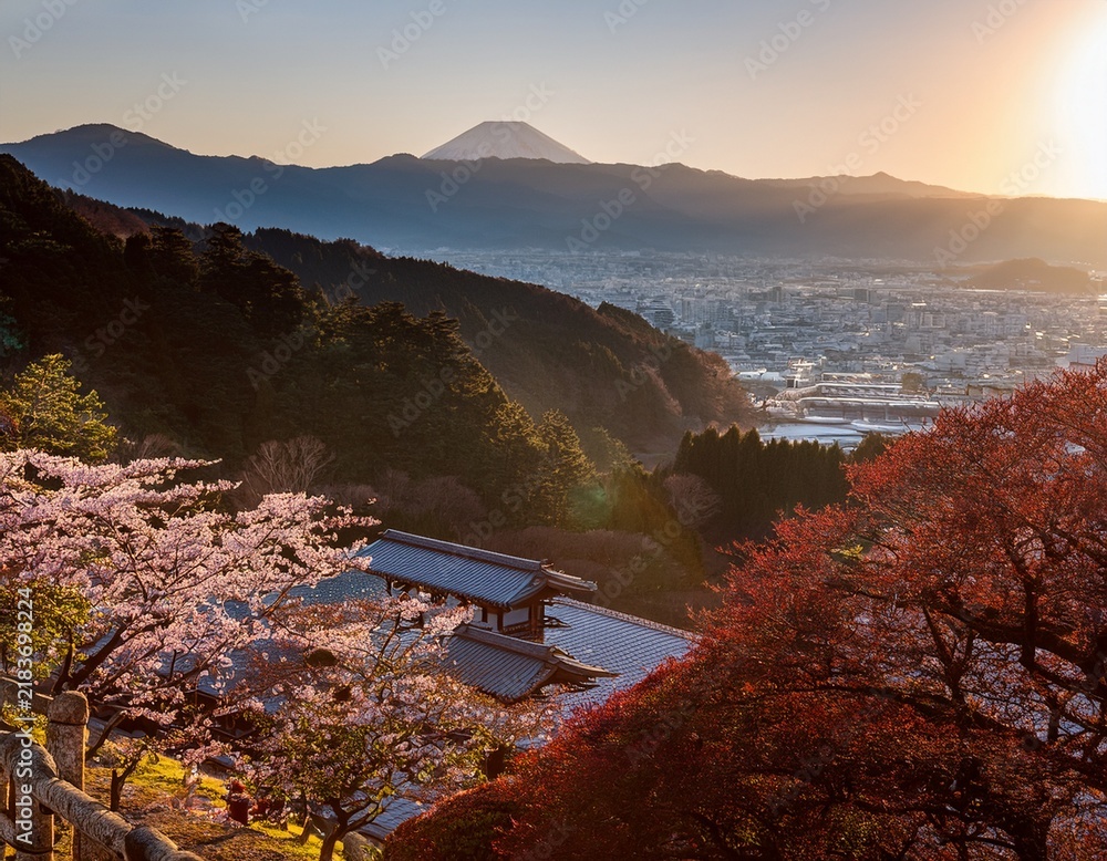 Fototapeta premium kyoto tea morning