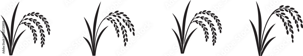 Obraz premium Simple black and white rice plant stalk vector illustration, isolated for agriculture, farming, and food.