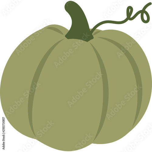Minimalist Sage Green Autumn Pumpkin