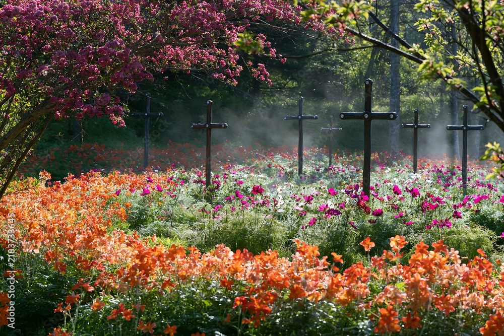 Obraz premium Christian crosses in flower meadow near geothermal spring
