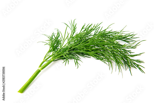 Fresh green dill branches isolated on white, top view.