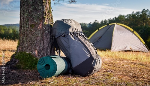 gray backpack and rolled up sleeping bag resting against a tree trunk at a campground with a tent in the background suggesting a summer camping trip