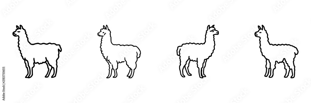 Fototapeta premium Llama And Alpaca Hand Drawn Doodle Icon Set. Farm Animal Sketch Symbol Collection. Agriculture And Petting Zoo Use. Isolated Vector Illustration