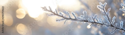 Macro view of frozen tree branches covered in hoarfrost during golden winter morning sunrise with soft bokeh light background