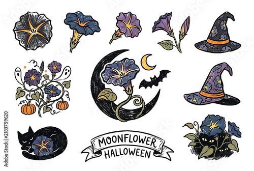 Halloween Moonflower Vector Collection - Hand Drawn Chalk Art Set