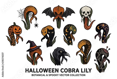 Halloween Cobra Lily Vector Collection Chalk Charcoal Illustration