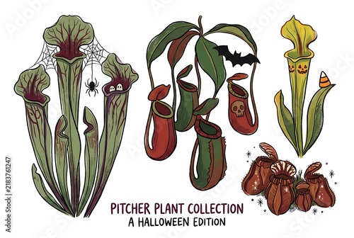 Halloween Pitcher Plant Vector Collection Hand Drawn Botanical Logo