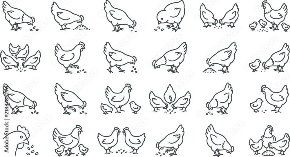 Fototapeta premium Farm chicken hen and small chick line icon set for agriculture designsFarm chicken hen and small chick line icon set for agriculture designs