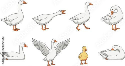 Canvastavla Cute Cartoon White Goose and Gosling Vector Character Set Featuring Poultry Pose