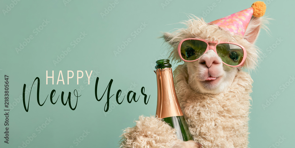 Fototapeta premium happy new year 2027, new year's eve party celebration animal greeting crad with text - Funny alpaca with a champagne bottle, isolated on turquoise background