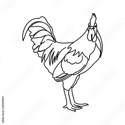 Black and white line art drawing of a standing farm rooster