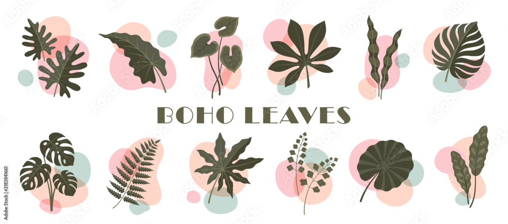 Obraz premium Bohemian floral tropical plants, boho organic monstera leaf with abstract geometric shapes. Modern boho art tropical leaves set of monstera, philodendron and fern, aralia, fig and calathea plants