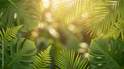 Monstera and palm leaves with tropical fern foliage border for organic botanical design.