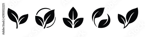 Organic foliage emblem leaves icon collection with elegant botanical shapes for eco branding, natural products, and sustainable packaging.