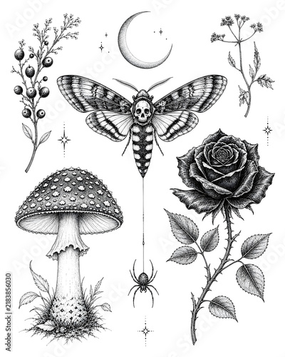 Dark botanical and occult tattoo flash sheet with deathhead moth and rose