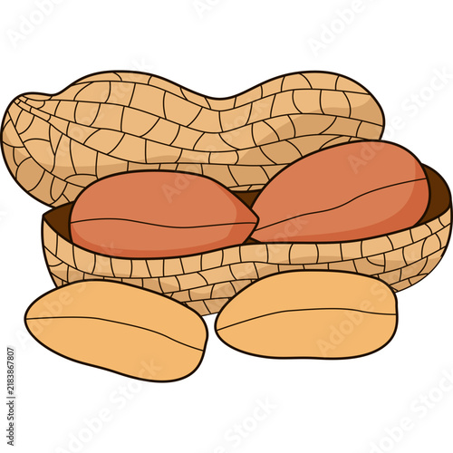 Peanuts Vector Illustration