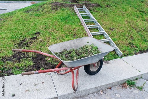 Wheelbarrow loaded with grass and ladder in a public park