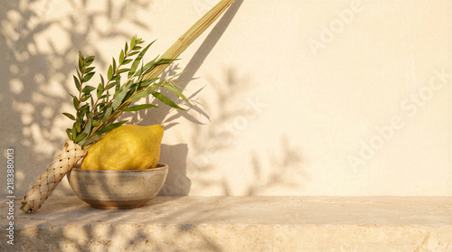 Minimalist Sukkot Holiday Background Featuring Etrog Citron Fruit and Lulav Palm Branch Resting in Rustic Ceramic Bowl on Beige Stone Surface with Soft Natural Sun Shadows Highlighting Jewish