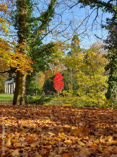 Strasbourg Orangerie park in autumn colors