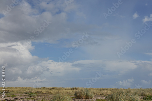 Foto Coastal sand dunes with windswept beach grass under dramatic cloudy sky