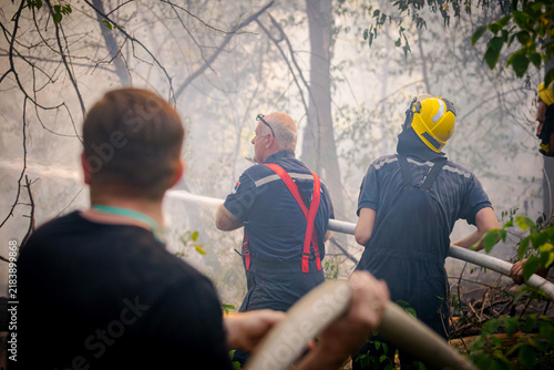 Firefighters spray water, they try extinguish a forest fire